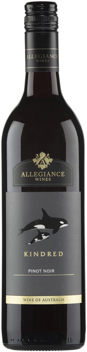 allegiance-wines-kindred-pinot-noir-2017