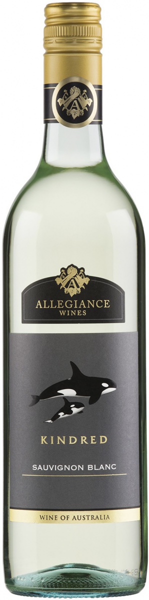 allegiance-wines-kindred-sauvignon-blanc-2017
