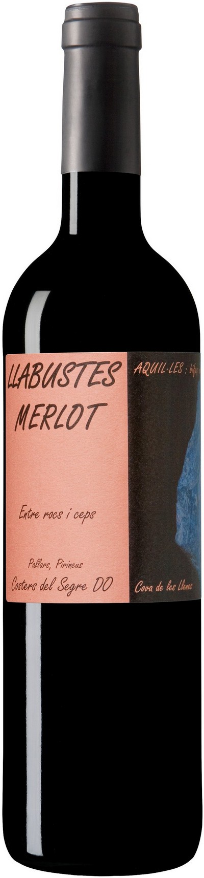 llabustes-merlot-2016