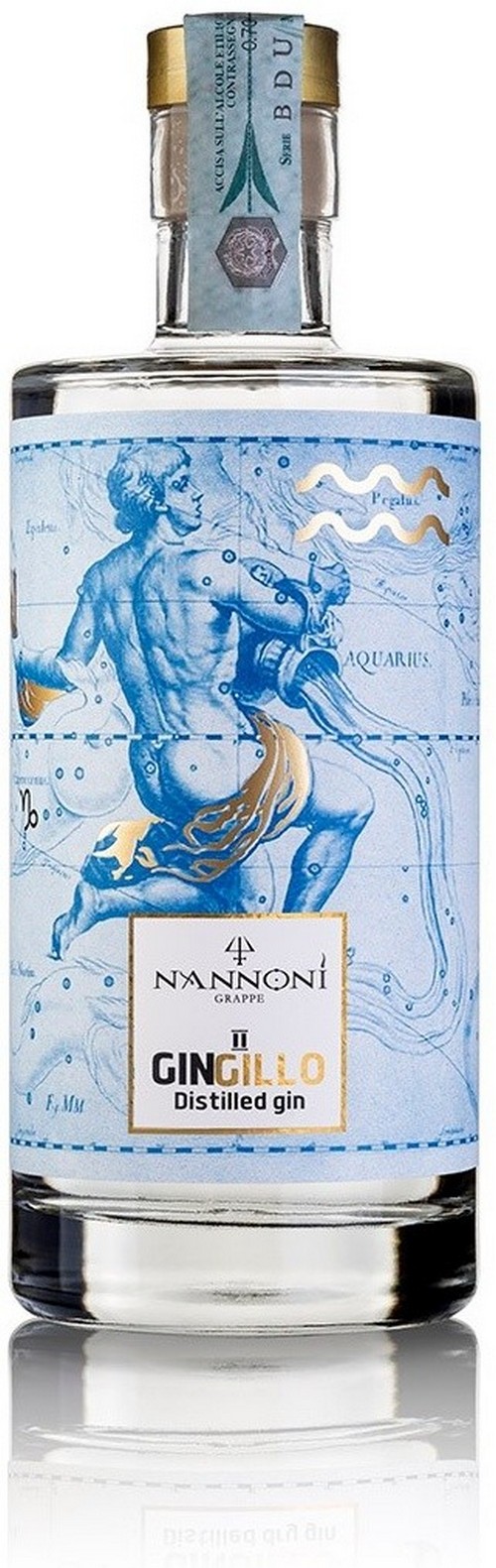 nannoni-gingillo-acquario-2022